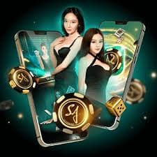 dj5 com bet